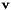 $ {\bf v}$
