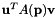 $ {\bf u}^{T}A({\bf p}){\bf v}$