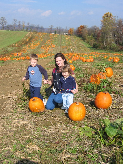 A real pumpkin patch!