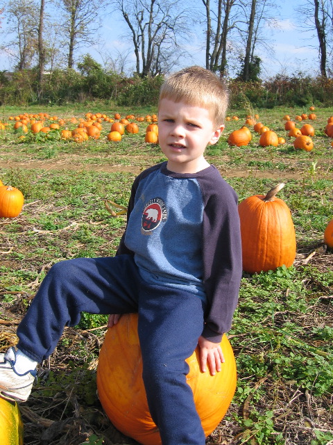 This one wont come off the vine, so I'll just sit on it!