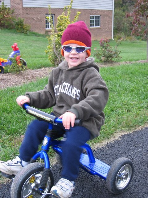 Cool cat on the trike