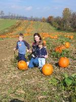 A real pumpkin patch!
