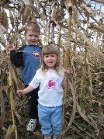 Lost in the corn maze