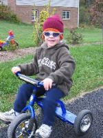 Cool cat on the trike