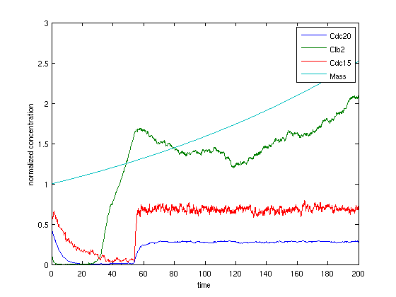 Another instance of stochastic simulation.